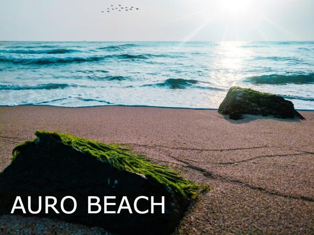 Pv Cottages Serenity Beach Пондичерри Экстерьер фото